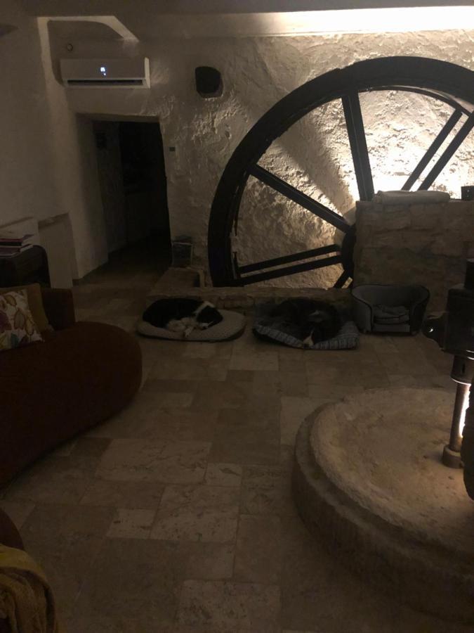 Moulin A Huile Chambre D'Hotes Vins-sur-Caramy 外观 照片